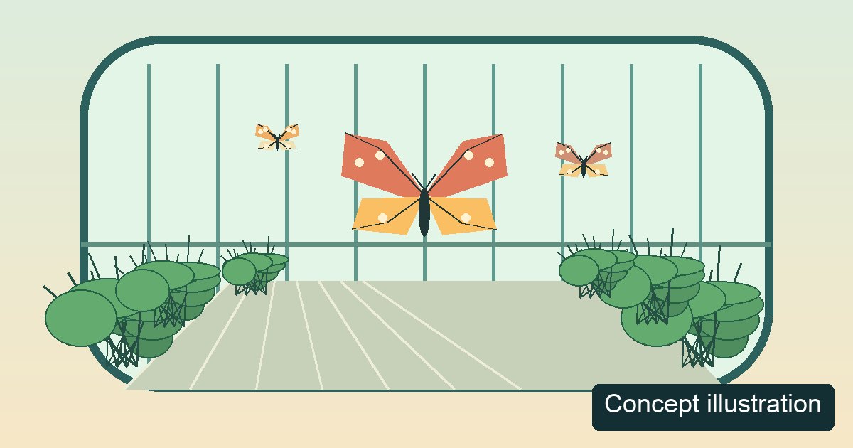Hand-drawn geometric concept illustration of a generic airport garden, not a photograph of Changi Airport