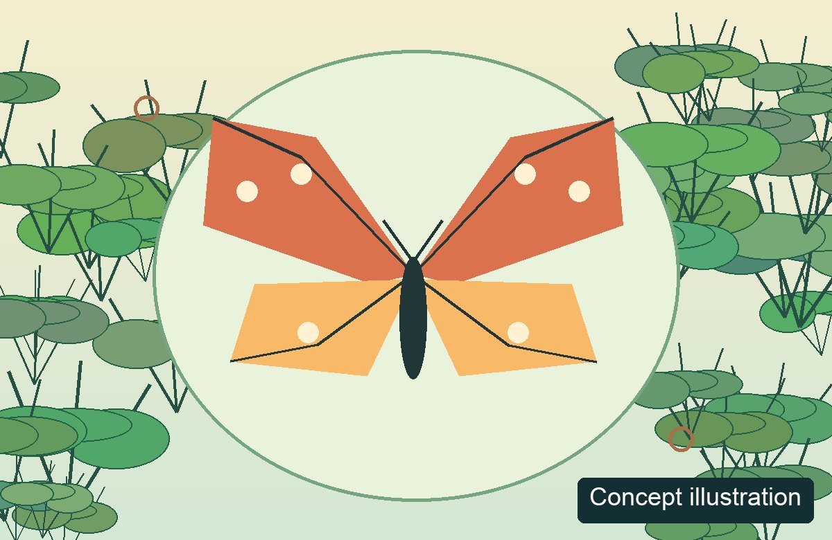 Original geometric illustration of a generic butterfly, not an actual Changi specimen or facility photograph