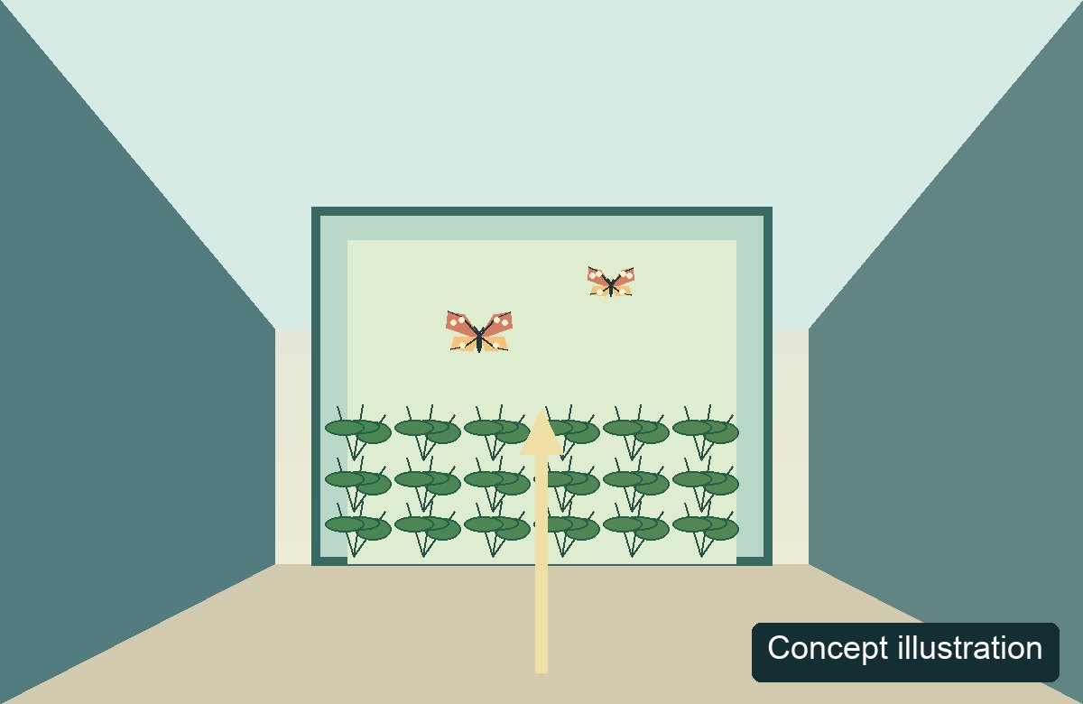 Original geometric illustration of a generic transit corridor, not a map or photograph of Terminal 3