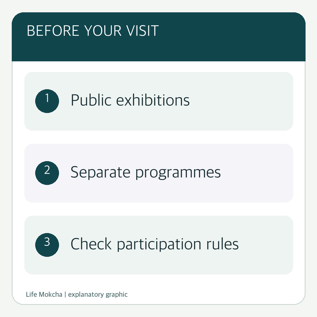 Explanatory diagram distinguishing free exhibition entry from programme participation