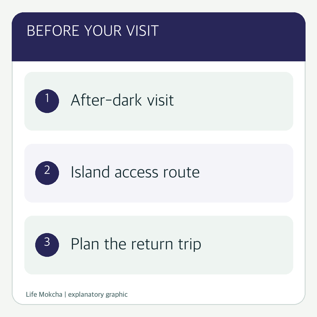 Explanatory graphic for checking the chosen session, transport and day-of festival updates